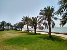 Пляж и ладони дальше около гольфа моря аравийского стоковые изображения rf Пляж и ладони дальше около гольфа моря аравийского стоковые изображения rf