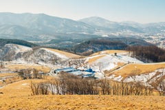 Поле сухой травы и гора и снег и ландшафт зимы в ранчо овец Daegwallyeong, Корее Стоковые Фото Поле сухой травы и гора и снег и ландшафт зимы в ранчо овец Daegwallyeong, Корее Стоковые Фото