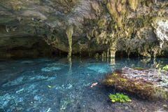 Подземное waterhole стоковые изображения Подземное waterhole стоковые изображения