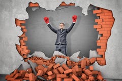 Победоносный бизнесмен в перчатках бокса стоит около отверстия в кирпичной стене при щебень лежа вокруг стоковые фотографии rf Победоносный бизнесмен в перчатках бокса стоит около отверстия в кирпичной стене при щебень лежа вокруг стоковые фотографии rf