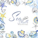 Покрашенная рукой рамка seashells квадратная Предпосылка лета акварели декоративная Первоначально иллюстрация нарисованная рукой иллюстрация вектора Покрашенная рукой рамка seashells квадратная Предпосылка лета акварели декоративная Первоначально иллюстрация нарисованная рукой иллюстрация вектора