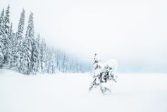 покрытые валы снежка гор горы дома hoarfrost стоковое изображение покрытые валы снежка гор горы дома hoarfrost стоковое изображение