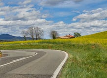 Поле рапса с домом, деревом, и голубым небом стоковое изображение Поле рапса с домом, деревом, и голубым небом стоковое изображение