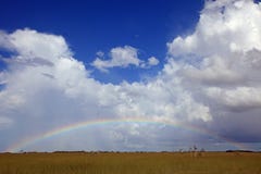 Полная радуга над национальным парком болотистых низменностей, FL стоковая фотография rf Полная радуга над национальным парком болотистых низменностей, FL стоковая фотография rf