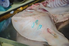 Половина сырцовой свиньи на таблице металла с номером килограмма стоковые изображения rf Половина сырцовой свиньи на таблице металла с номером килограмма стоковые изображения rf