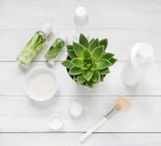Положение зеленых косметик плоское с суккулентным заводом Взгляд сверху стоковая фотография Положение зеленых косметик плоское с суккулентным заводом Взгляд сверху стоковая фотография