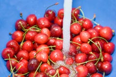 полоскать вишен стоковые изображения полоскать вишен стоковые изображения