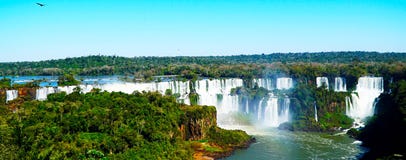 понижается iguazu стоковое фото rf понижается iguazu стоковое фото rf