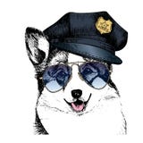 Портрет вектора близкий поднимающий вверх полицейской собаки Пембрук corgi Welsh нося пиковую крышку и солнечные очки иллюстрация вектора Портрет вектора близкий поднимающий вверх полицейской собаки Пембрук corgi Welsh нося пиковую крышку и солнечные очки иллюстрация вектора
