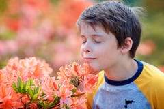 Портрет весны рододендрона милого привлекательного 10 - летнего мальчика пахнуть цвести розового в саде стоковые изображения Портрет весны рододендрона милого привлекательного 10 - летнего мальчика пахнуть цвести розового в саде стоковые изображения