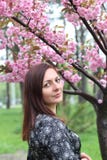 Портрет красивой девушки в дереве Сакуры Цветки Сакуры окружают девушку Ветвь Сакуры ее стороной Японское дерево стоковая фотография Портрет красивой девушки в дереве Сакуры Цветки Сакуры окружают девушку Ветвь Сакуры ее стороной Японское дерево стоковая фотография