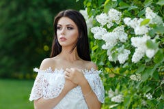 Портрет красивой чувственной девушки брюнет в белом платье в th стоковое изображение Портрет красивой чувственной девушки брюнет в белом платье в th стоковое изображение