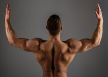 Построитель тела, muscled мужчина, сильный человек, культурист, мышечный человек, сильный мужчина Brawny культурист парня Sporty стоковая фотография Построитель тела, muscled мужчина, сильный человек, культурист, мышечный человек, сильный мужчина Brawny культурист парня Sporty стоковая фотография