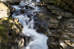 Поток стоковая фотография rf Поток стоковая фотография rf