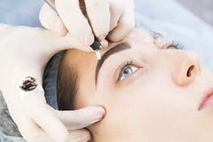 Поток операций бровей Microblading Стоковое Изображение RF Поток операций бровей Microblading Стоковое Изображение RF