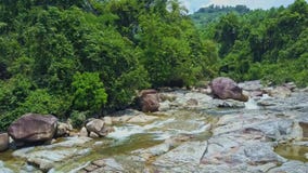 Потоки Crystal Creek вида с воздуха среди камней заводами Потоки Crystal Creek вида с воздуха среди камней заводами