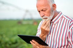 Потревоженные старшие agronomist или фермер предусматривая промежуток времени используя планшет в поле сои стоковые фотографии rf Потревоженные старшие agronomist или фермер предусматривая промежуток времени используя планшет в поле сои стоковые фотографии rf
