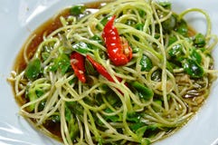 Пошевелите зажаренный росток солнцецвета с соусом и chili устрицы на блюде Стоковая Фотография RF Пошевелите зажаренный росток солнцецвета с соусом и chili устрицы на блюде Стоковая Фотография RF