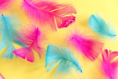 Предпосылка пер абстрактная Предпосылка для дизайна с мягким colorfull оперяется картина Мягкие пушистые пер на бирюзе, дне d стоковые изображения rf Предпосылка пер абстрактная Предпосылка для дизайна с мягким colorfull оперяется картина Мягкие пушистые пер на бирюзе, дне d стоковые изображения rf