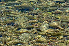 Предпосылка чистой воды с мягкими солнечными пульсациями и камнями Стоковое Фото Предпосылка чистой воды с мягкими солнечными пульсациями и камнями Стоковое Фото