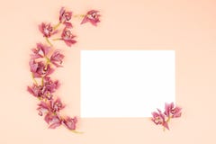 Предпосылка картины цветка стоковая фотография rf Предпосылка картины цветка стоковая фотография rf