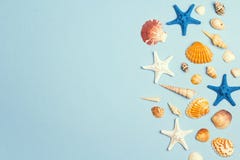 Предпосылка с seashells и граница морских звёзд на сини Место для стоковое изображение rf Предпосылка с seashells и граница морских звёзд на сини Место для стоковое изображение rf