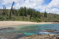 Прибрежный песчаный пляж Новая Каледония ландшафта стоковые фото Прибрежный песчаный пляж Новая Каледония ландшафта стоковые фото