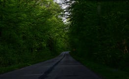 Придите вместе со мной стоковые фото Придите вместе со мной стоковые фото