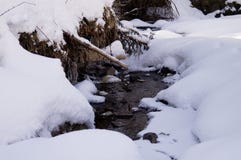 Приключения зимы Заводь в снеге carpathians Украина стоковое фото Приключения зимы Заводь в снеге carpathians Украина стоковое фото