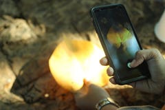 Принимать фото листьев осени со смартфоном стоковое изображение Принимать фото листьев осени со смартфоном стоковое изображение