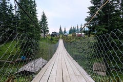 Приостанавливанный мост в Dragobrat Украине стоковая фотография rf Приостанавливанный мост в Dragobrat Украине стоковая фотография rf