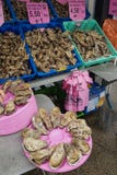 Продажа продукта моря по побережью кельтское море Рынок продукта моря утра с устрицами стоковые фотографии rf Продажа продукта моря по побережью кельтское море Рынок продукта моря утра с устрицами стоковые фотографии rf