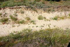 Промоина Sandy помытая потоками весной стоковое изображение Промоина Sandy помытая потоками весной стоковое изображение