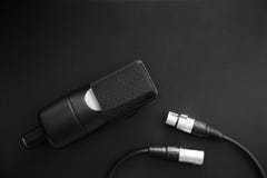 Профессиональный микрофон студии конденсатора и XLR привязывают на черной предпосылке Концепция музыки, искусства и воодушевленно стоковые фотографии rf Профессиональный микрофон студии конденсатора и XLR привязывают на черной предпосылке Концепция музыки, искусства и воодушевленно стоковые фотографии rf