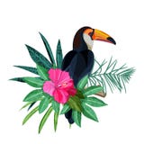 Птица toucan на ветви Зеленый тропический цветок листьев и гибискуса ладони Иллюстрация вектора изолированная на белой предпосылк бесплатная иллюстрация Птица toucan на ветви Зеленый тропический цветок листьев и гибискуса ладони Иллюстрация вектора изолированная на белой предпосылк бесплатная иллюстрация