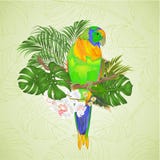 Птица попугая Солнця Conure тропическая стоя на фаленопсисе орхидеи ветви белом на белом editab иллюстрации вектора предпосылки Стоковые Изображения Птица попугая Солнця Conure тропическая стоя на фаленопсисе орхидеи ветви белом на белом editab иллюстрации вектора предпосылки Стоковые Изображения