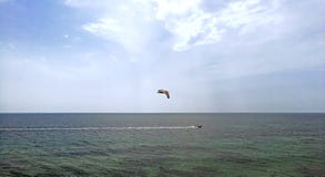 Птицы гонят рыболовную лодку промышленного рыболовства с побережья Испании стоковая фотография Птицы гонят рыболовную лодку промышленного рыболовства с побережья Испании стоковая фотография