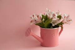 Пустая розовая моча консервная банка и 3 малиновых цветка gerbera лежа раскосно 3 красных цветка и пустой моча консервная банка н стоковое изображение Пустая розовая моча консервная банка и 3 малиновых цветка gerbera лежа раскосно 3 красных цветка и пустой моча консервная банка н стоковое изображение