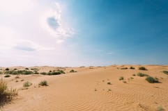 Пустыня с песчанными дюнами o ясный солнечный день стоковые фотографии rf Пустыня с песчанными дюнами o ясный солнечный день стоковые фотографии rf