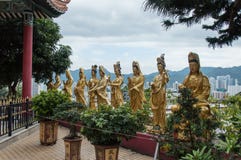 Путь к виску Shatin 10000 Buddhas, Гонконгу стоковое фото rf Путь к виску Shatin 10000 Buddhas, Гонконгу стоковое фото rf