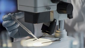 Работник лаборатории подготавливая биологический материал, испытание дна для того чтобы установить отцовство стоковое фото rf Работник лаборатории подготавливая биологический материал, испытание дна для того чтобы установить отцовство стоковое фото rf