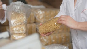 Работники упаковывая сырцовую макарон от производственной линии в макаронных изделиях manufactury стоковые изображения rf Работники упаковывая сырцовую макарон от производственной линии в макаронных изделиях manufactury стоковые изображения rf