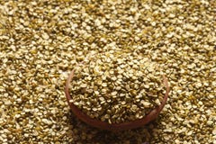 Разделение зеленого грамма как moong dal Стоковые Фото Разделение зеленого грамма как moong dal Стоковые Фото