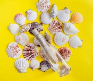 Различные белые seashells с сообщением в бутылке на желтой предпосылке стоковые фото Различные белые seashells с сообщением в бутылке на желтой предпосылке стоковые фото