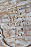 Раковины моря в fishnet, на деревянной доске, предпосылка летних каникулов стоковое фото rf Раковины моря в fishnet, на деревянной доске, предпосылка летних каникулов стоковое фото rf