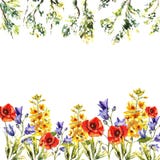 Рамка акварели bluebells, щенят, eremuruses, листьев, завтрак-обедов деревьев иллюстрация штока Рамка акварели bluebells, щенят, eremuruses, листьев, завтрак-обедов деревьев иллюстрация штока