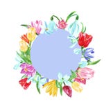 Рамка весны акварели флористическая круглая с желтыми, розовыми, голубыми и красными цветками Рука покрасила тюльпаны, daffodils, иллюстрация штока Рамка весны акварели флористическая круглая с желтыми, розовыми, голубыми и красными цветками Рука покрасила тюльпаны, daffodils, иллюстрация штока