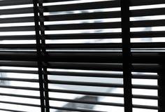 Раскрытые венецианские пластиковые шторки в черно-белом Пластичное окно с шторками Дизайн интерьера живущей комнаты с окном стоковое изображение Раскрытые венецианские пластиковые шторки в черно-белом Пластичное окно с шторками Дизайн интерьера живущей комнаты с окном стоковое изображение