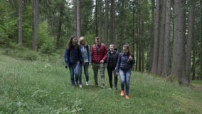 Расслабленные предназначенные для подростков hikers идя через древесины на горной тропе наслаждаясь красотой ландшафта и говорить видеоматериал Расслабленные предназначенные для подростков hikers идя через древесины на горной тропе наслаждаясь красотой ландшафта и говорить видеоматериал