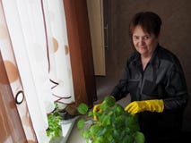 Растя саженцы внутри помещения стоковое фото Растя саженцы внутри помещения стоковое фото